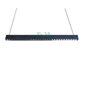 Suspended Linear Light